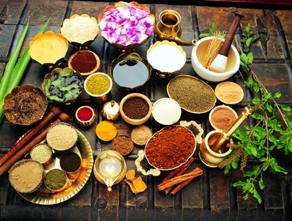 Ayurveda e benessere in India
